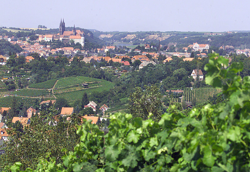 Entlang des Sächsischen Weinwanderweges, Foto Sächsisches Elbland