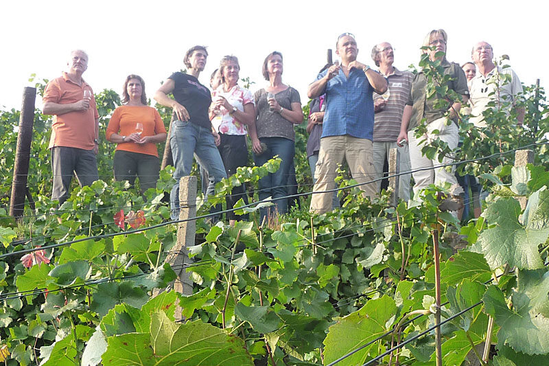 Weinprobe im Weinberg